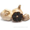 Fermented Black Garlic HALAL Certified Organic Fermented Black Garlic Manufactory